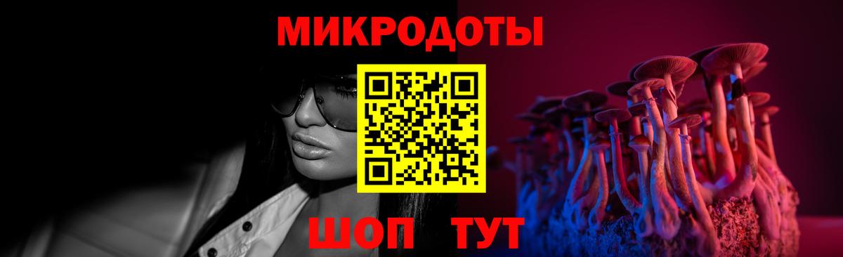 Псилоцибиновые грибы Psilocybine cubensis Мичуринск